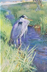 Yksinäinen kalastaja